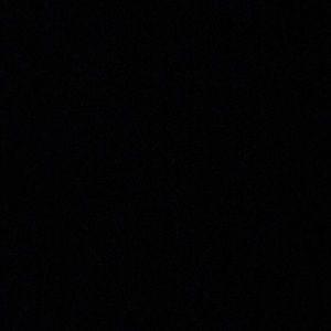 Meet your Posher, Shayla